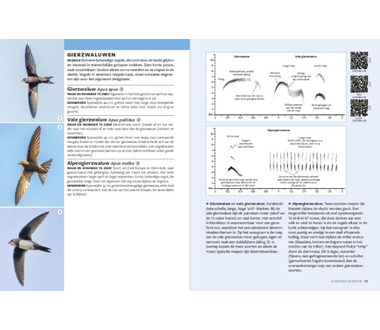 noordboek_handboek_trekvogels[3].jpg